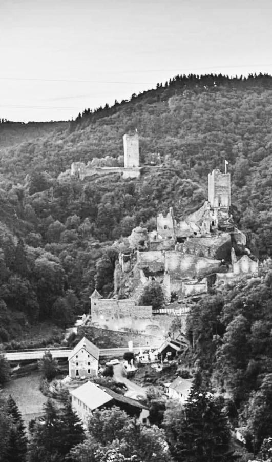 Herberg Die Alte Schleuse Manderscheid Eksteriør billede