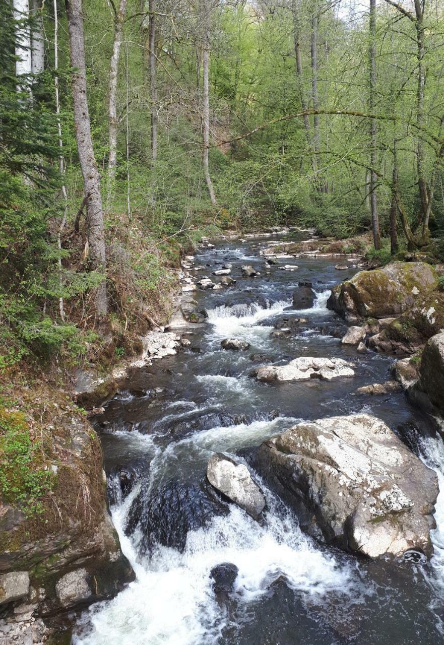 Herberg Die Alte Schleuse Manderscheid Eksteriør billede