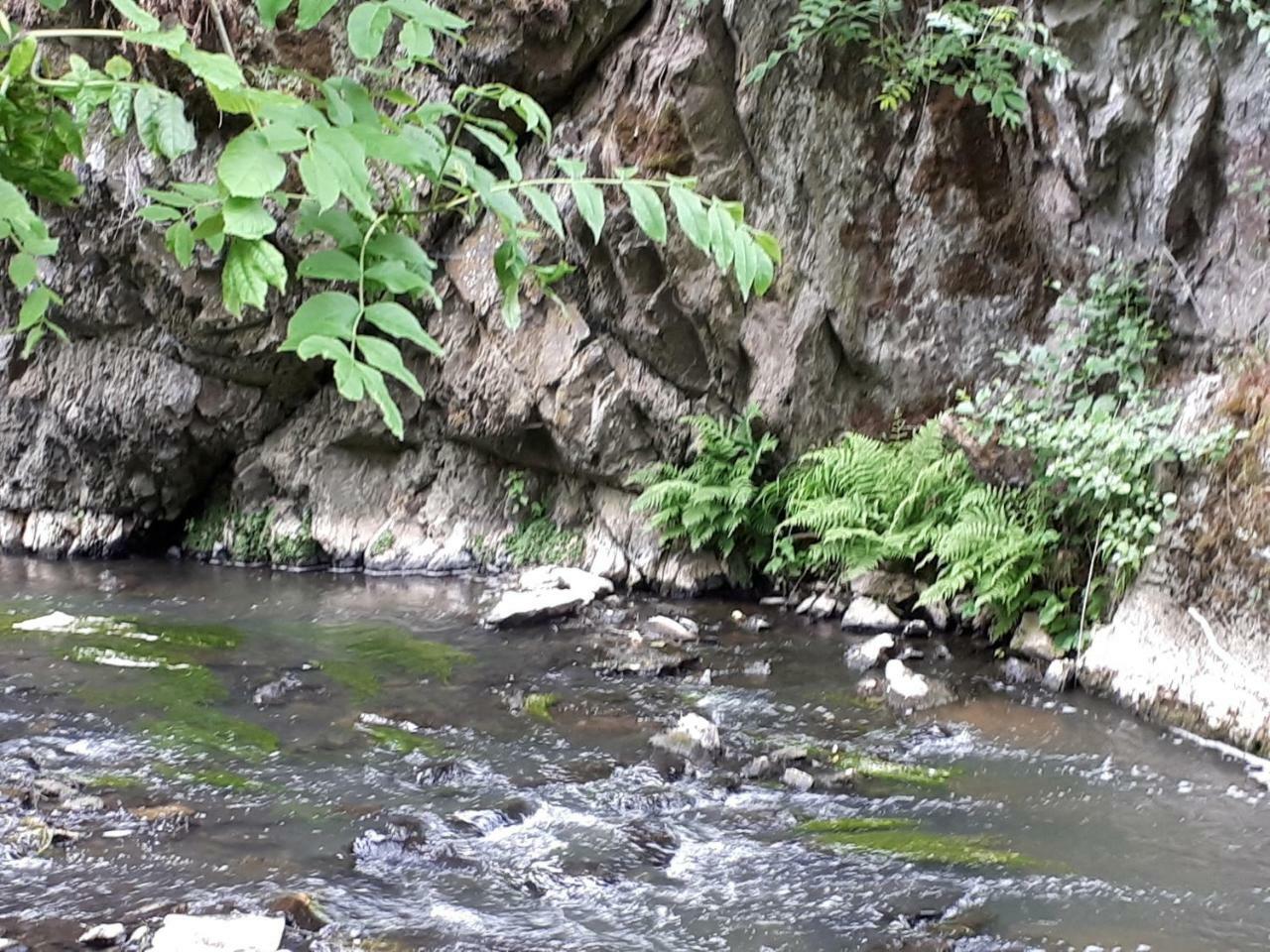 Herberg Die Alte Schleuse Manderscheid Eksteriør billede