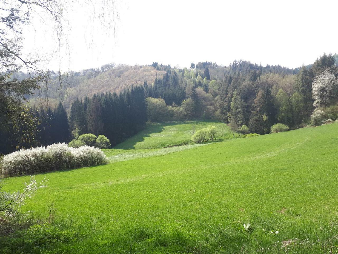 Herberg Die Alte Schleuse Manderscheid Eksteriør billede